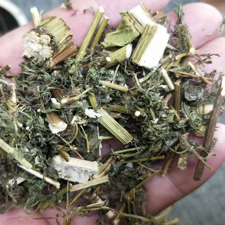  Чай artemisia annua Натуральные Сушеные