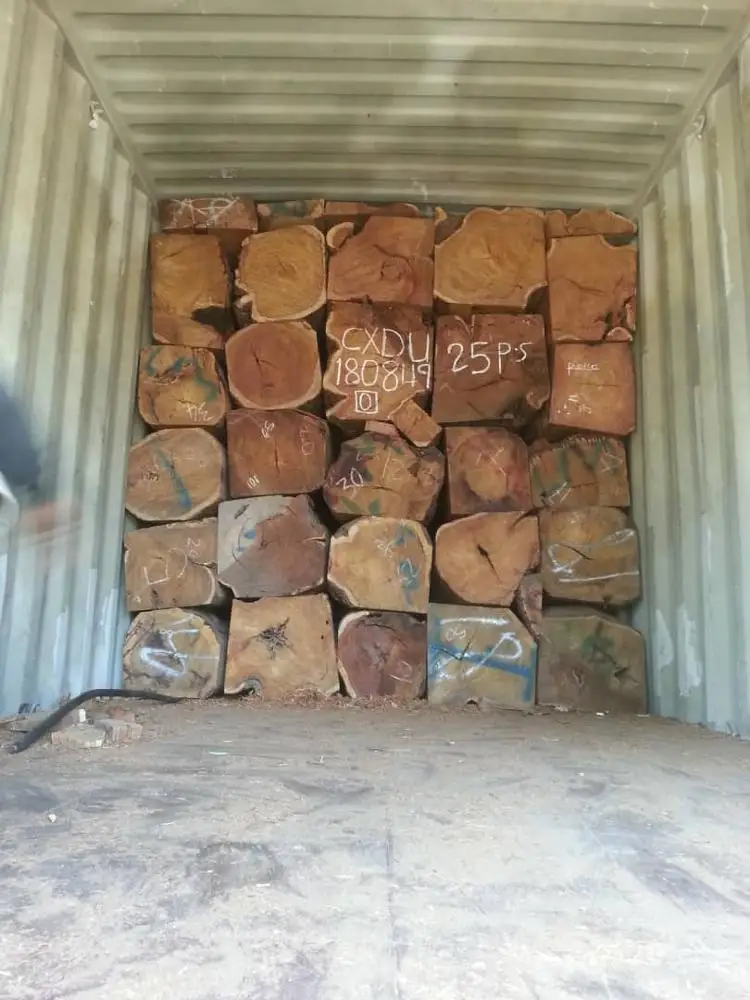 Vaneer White oak logs for timber