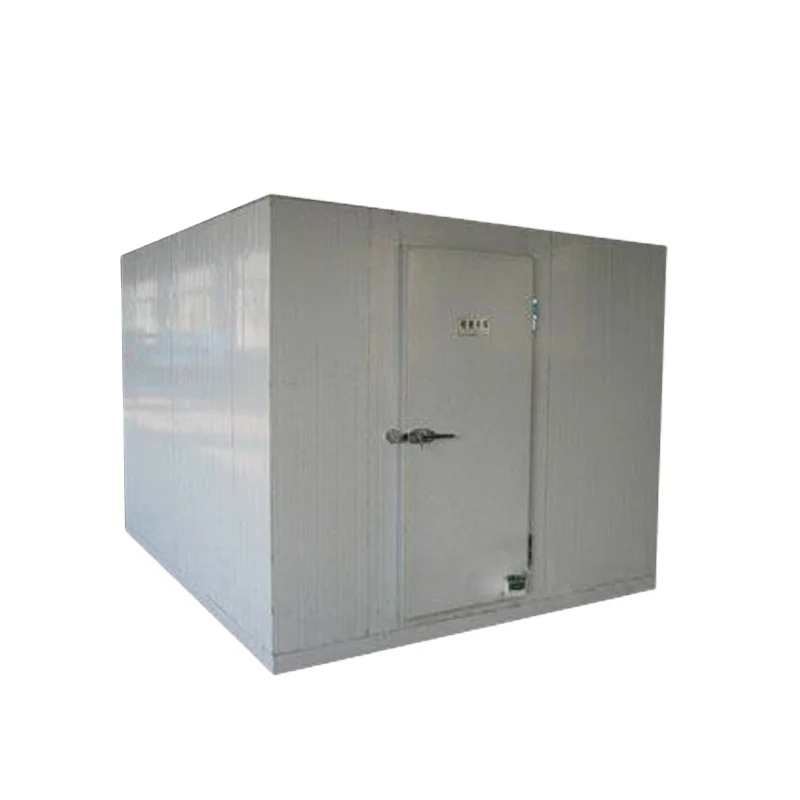 Hot Selling New High-end Listing India Store Size Cold Room Freezer For Dead Body
