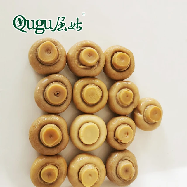 
canned mushroom pns and whole/high quality canned mushroom 