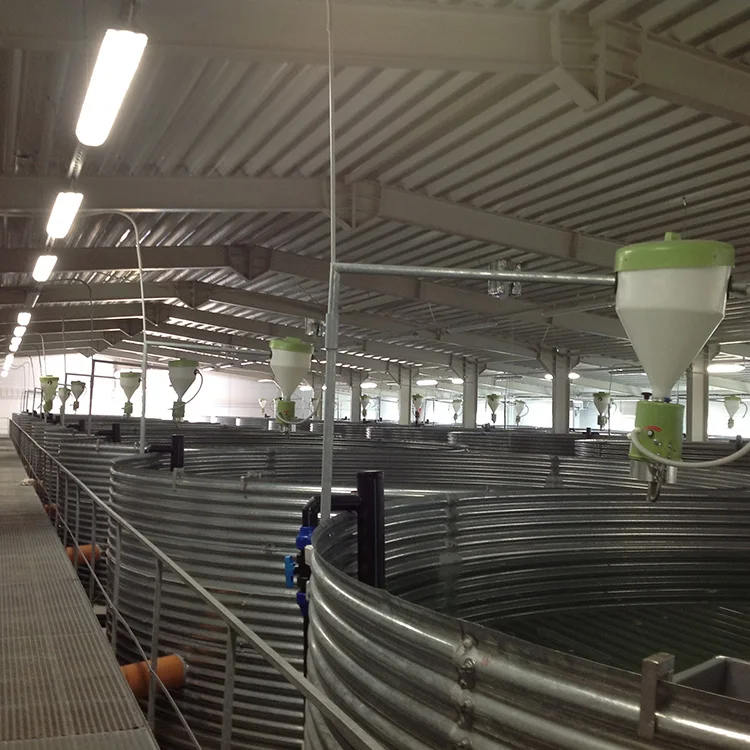 recirculating aquaculture system  fish farming equipment ras system aquaculture water recirculation system in aquaculture