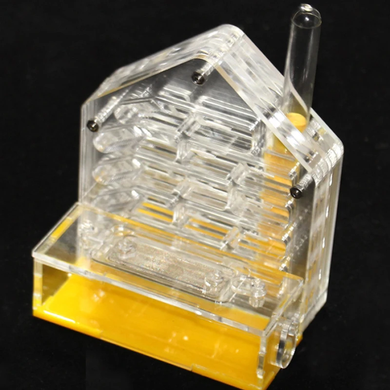 Compact Acrylic Ant Enclosure Ideal for Beginners and Small Ant Colonies