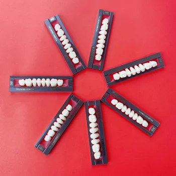 Cheaper Price Dental Synthetic Teeth for Dental Lab