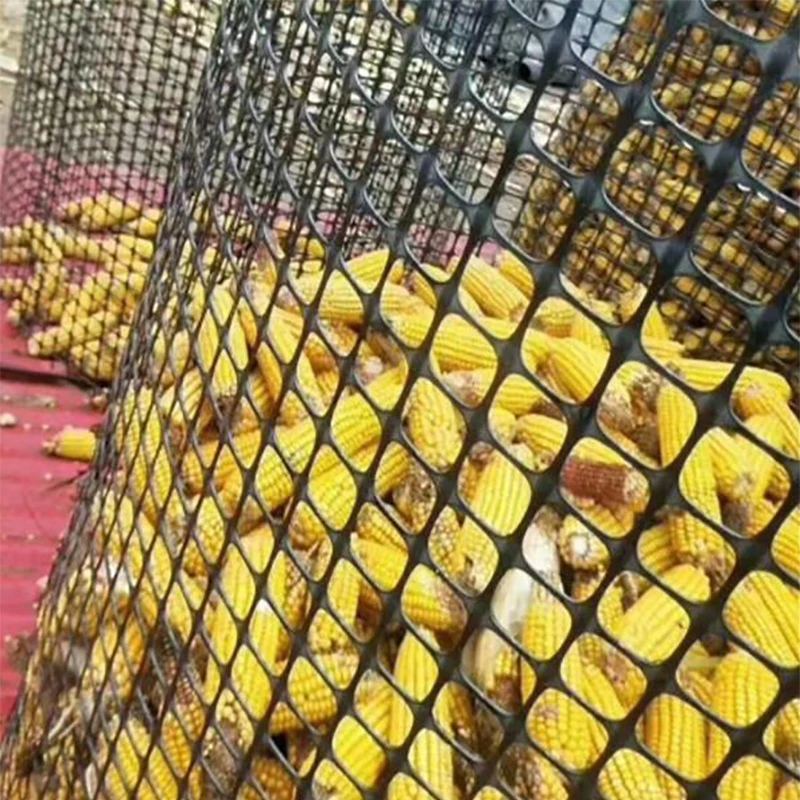 Biaxial Polyester Geogrid Plastic fence net anti bird netting fruit tree protection net