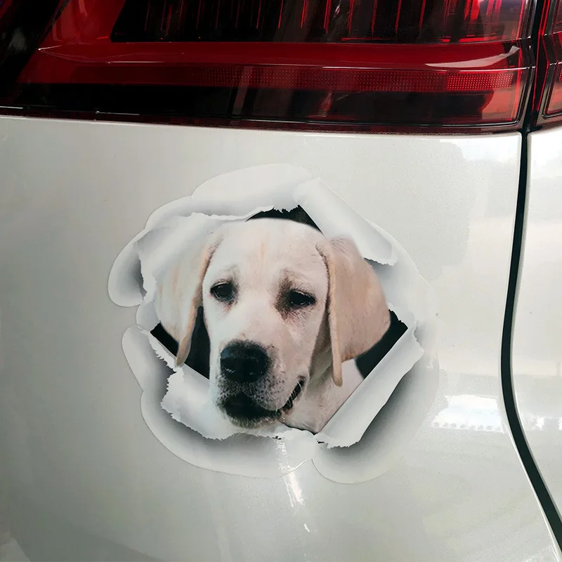 Waterproof Body Vehicle WrapTransfer Film Dog Car Decals ,Custom 3D Bumper Vinyl Die Cut JEEP Window Stickers 3d Car Decal