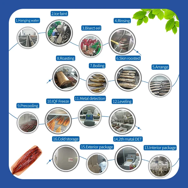 Customized Unagi Shirayaki Japanese Technique Dried Roasted Frozen Eel with AD Drying Process