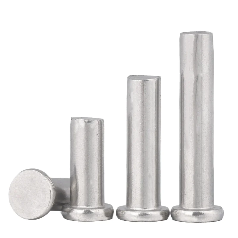 China Manufacturer Stainless Steel Flat Head Solid Rivet Knock Rivets DIN 7338