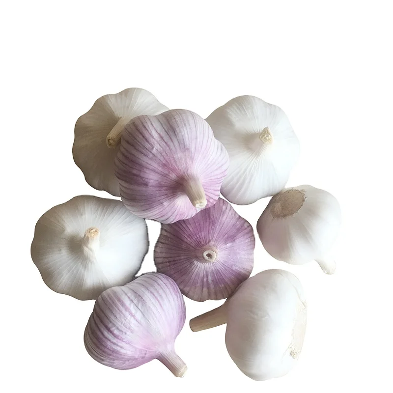 Garlic From China Fenduni Supply Fresh RED Garlic Normal White 5.5cm 10kg/carton for South Sudan/Mayotte