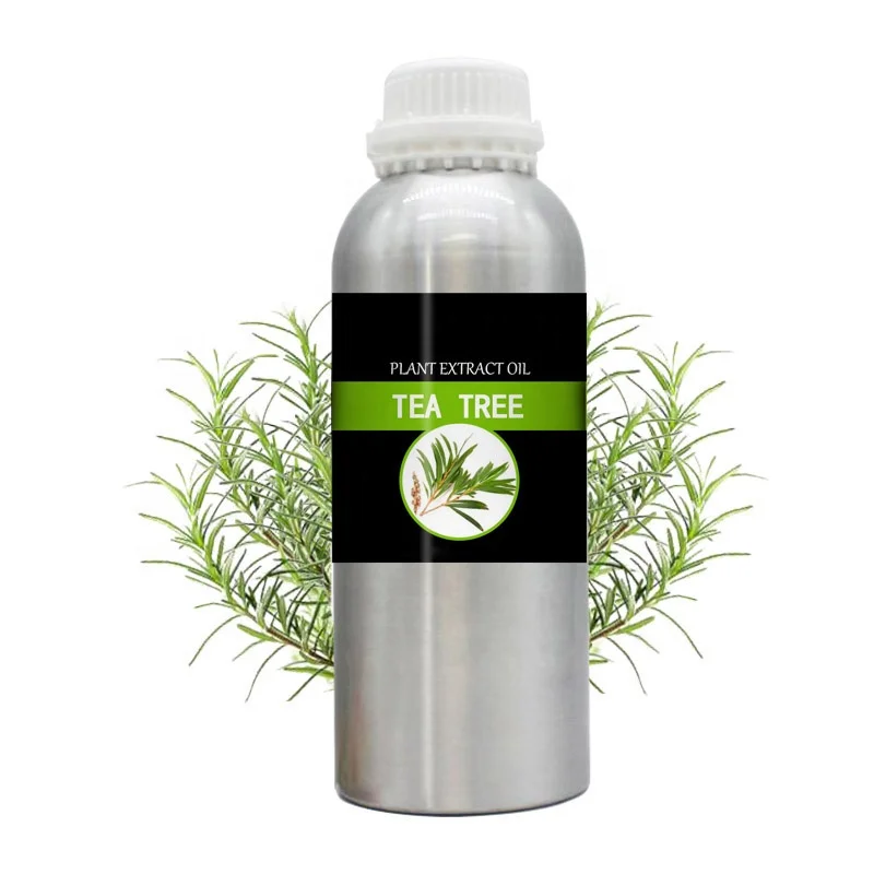 Wholesale Natural Essential Oil Australian Tea Tree Oil for Face Hair Cosmetics Aromatherapy Diffuser Fragrance Perfume
