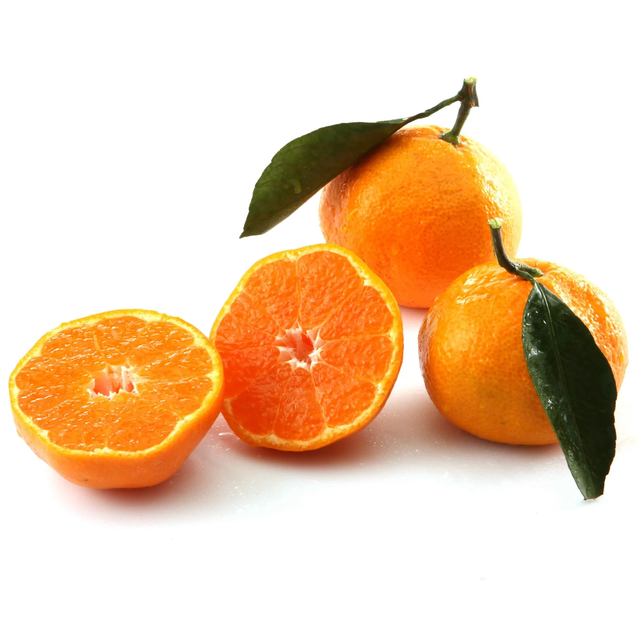 fresh Navel Valencia oranges Fresh Citrus