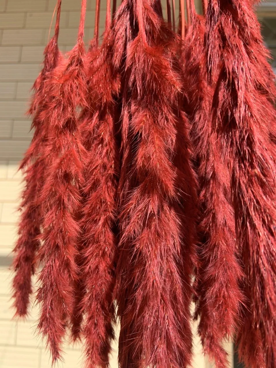 Amazon Popular products  70-90cm Artificial Red Small Pampas Grass