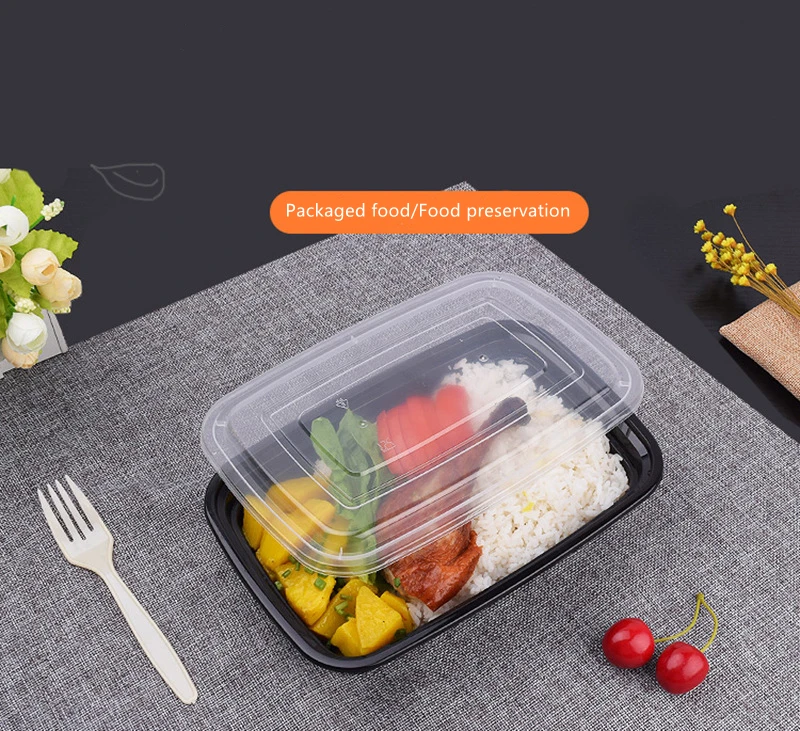 Wholesale Carrier Can Microwave Ovens Safe Disposable Plastic Food Container Lunch Box