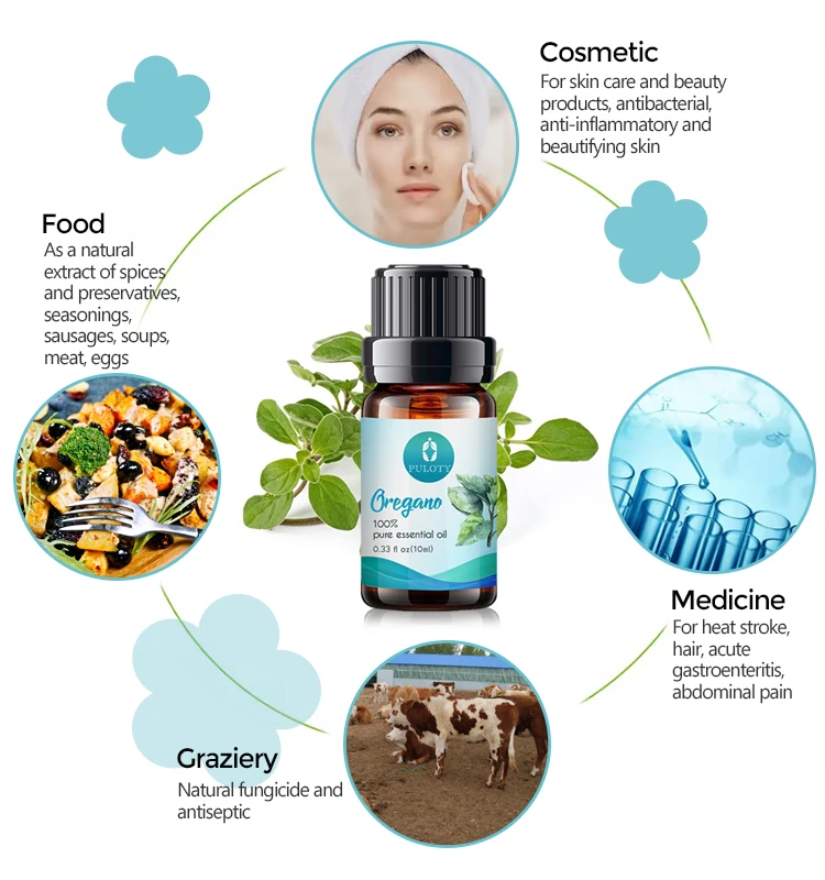Top grade oregano essential oil wholesale CAS 8007-11-2 oil of oregano private label animal feed additive natural oregano oil