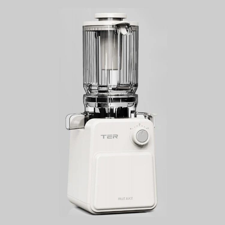 Professional 100W Easy Clean High Juice Yield Slow Juicer for Nutrient Fruits and Vegetables