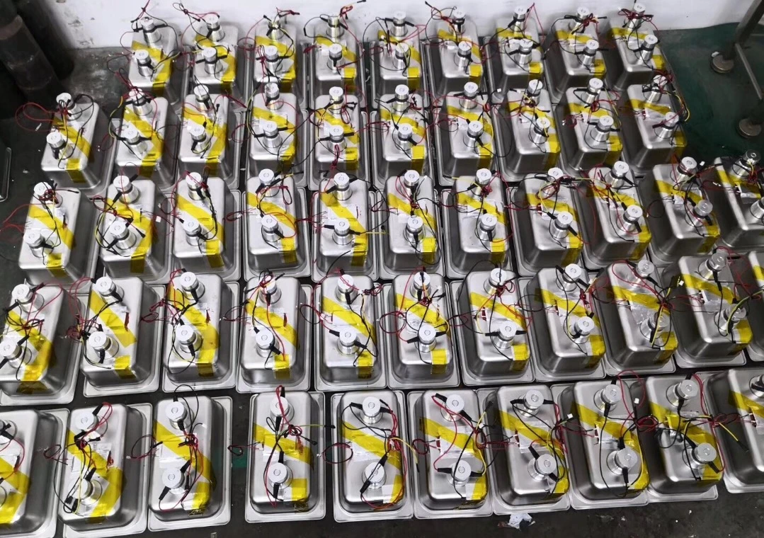 Ultrasonic Cleaner Solution Heated Ultrasonic Cleaner For Jewelry Watch Cleaning Industry