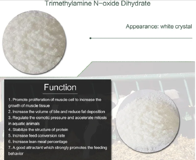 Buy TMAO 98% Trimethylamine-N-Oxide Dihydrate
