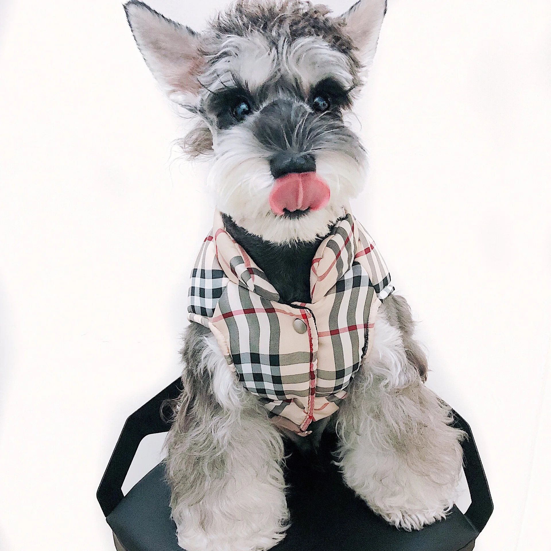 JXANRY Pet Popular Logo Clothes Cat Teddy Puppy Autumn/Winter Cotton Warm Apparel Dog Vest With Cotton Plaid Coat