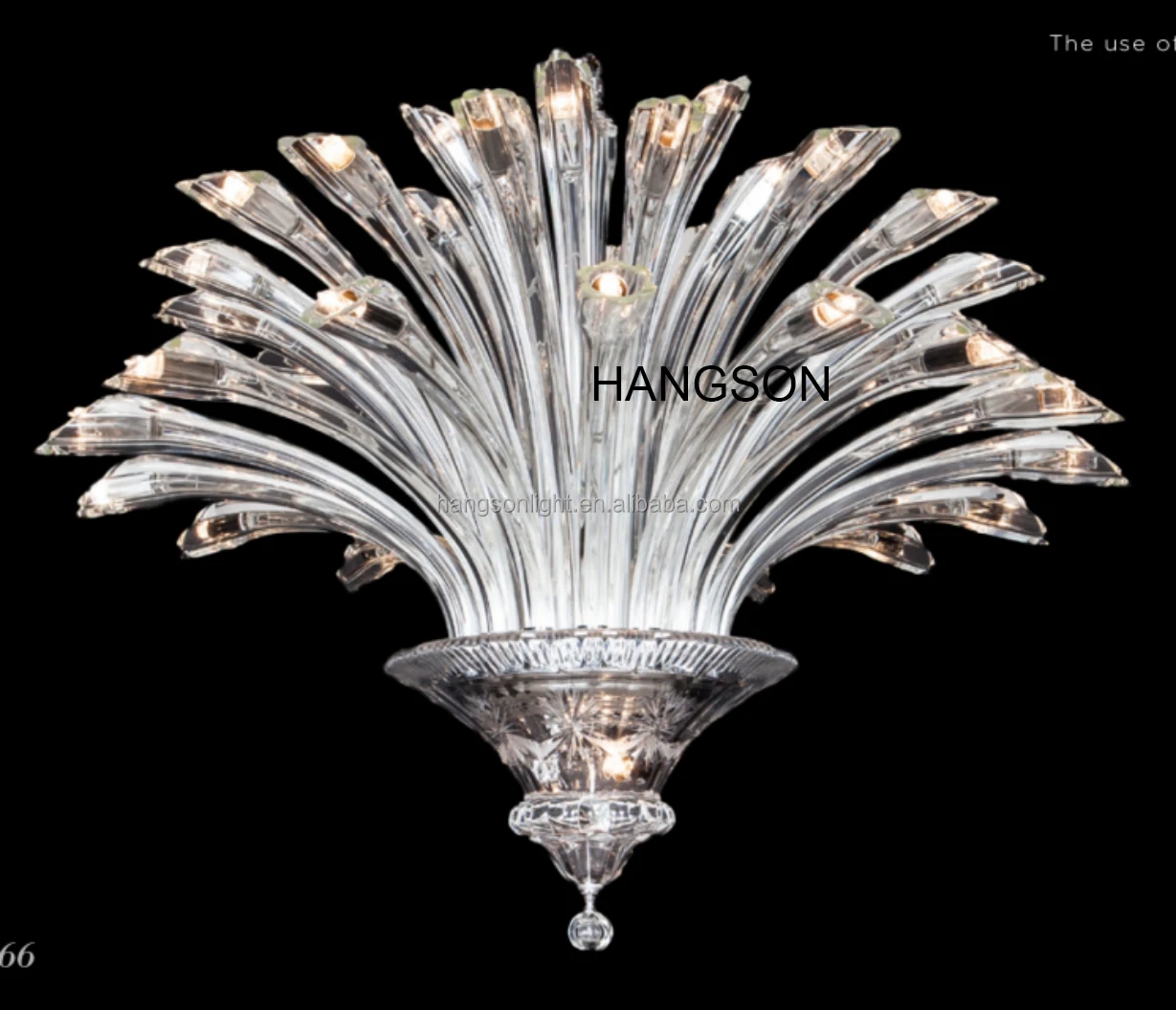 _20240623163243 .jpg