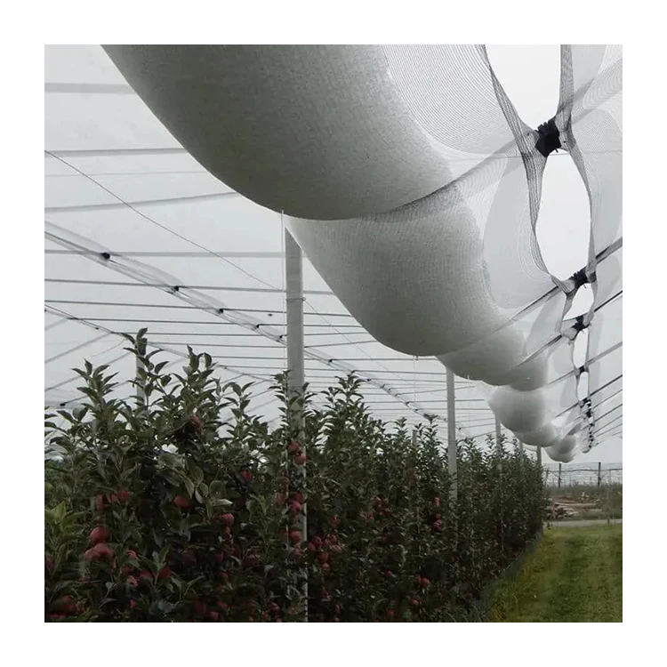 Chinese Supply High Strength Agriculture Pe Anti Hail Protection Net Nets For Apple Tree
