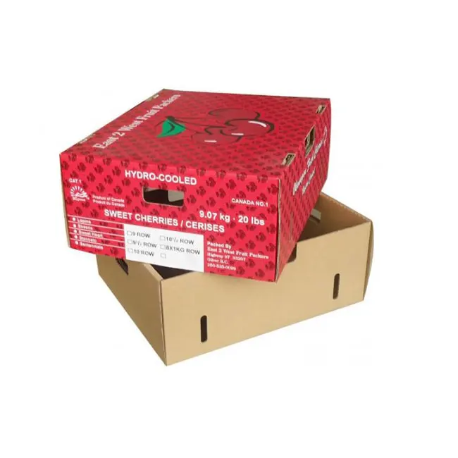 custom fruit cardboard packaging carton box for mango/apple/dates/banana