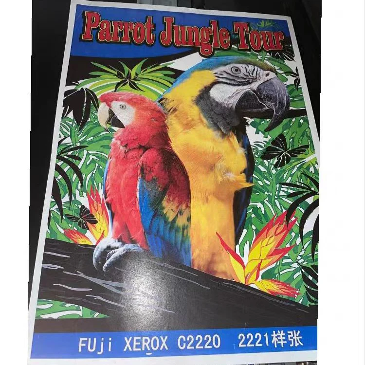 Brand new Imported QualityTransfer Belt fit for Ricoh MPC5000 3000 3300 C5501 C3502 C4502 C3501 Printer