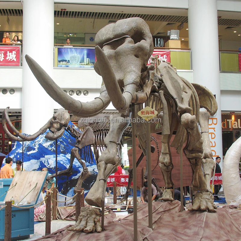 Factory Supply Prehistoric Animal Woolly Mammoth Fossils Skeletons Replica For Zoological Museum