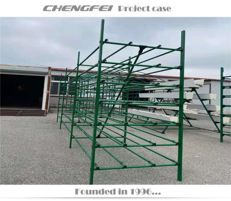 Black Fungus Mushroom Pleurotus Geesteranus Rack Shelf Frame For Greenhouse Use