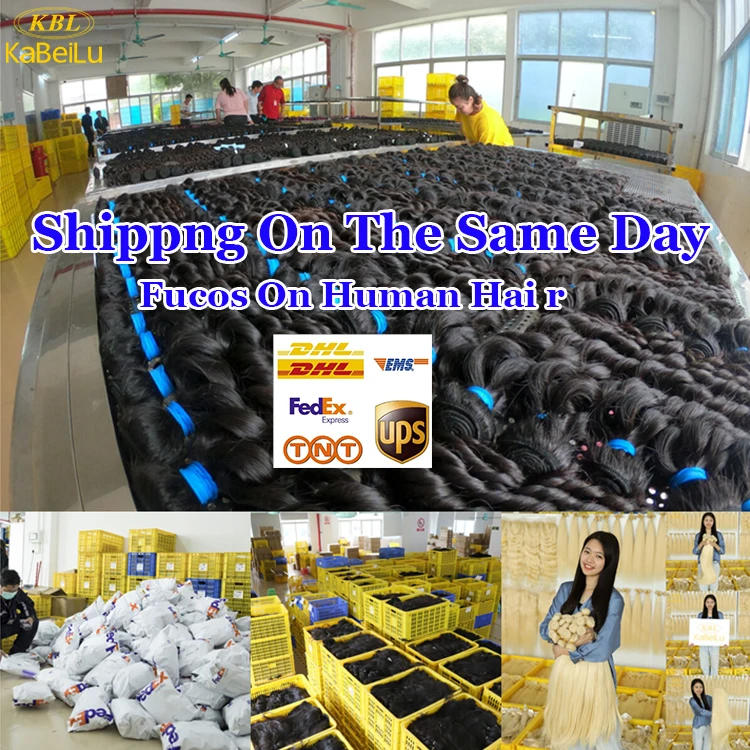 KBL Virgin curly vietnam hair vendors,the best price hair for companies looking for distributor,raw vietnam hair unprocessed