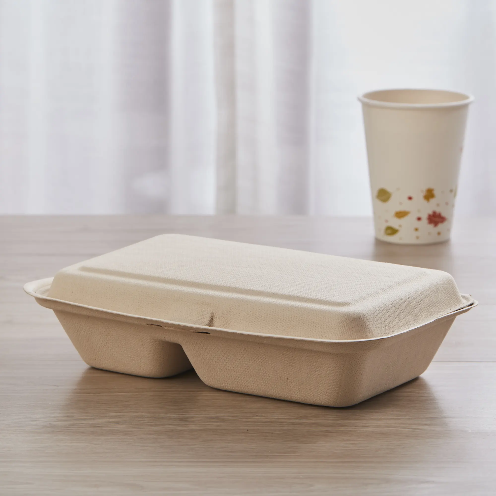
Biodegradable Take Away 2 Compartment Food Big Container 
