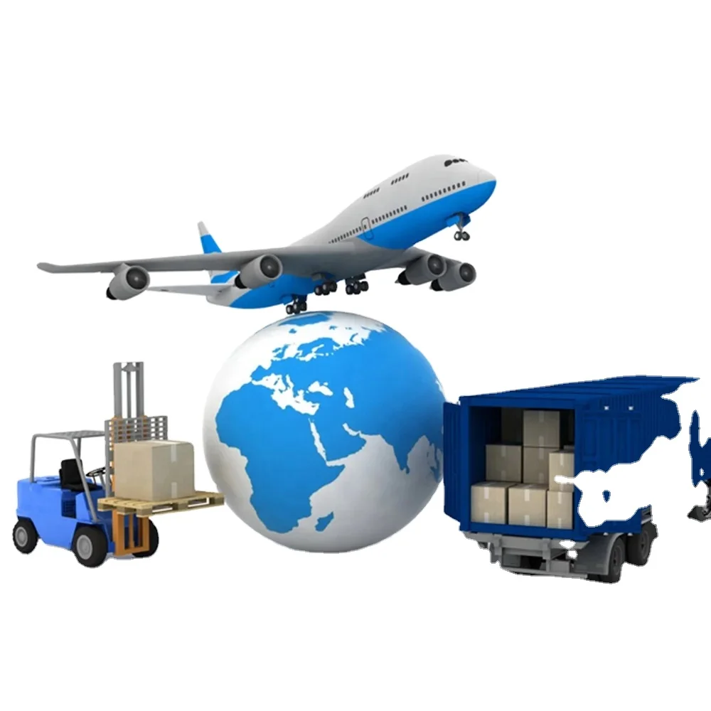 DDP/DDU Sea Freight Shipping Agent FBA Freight Forwarder China To Iraq