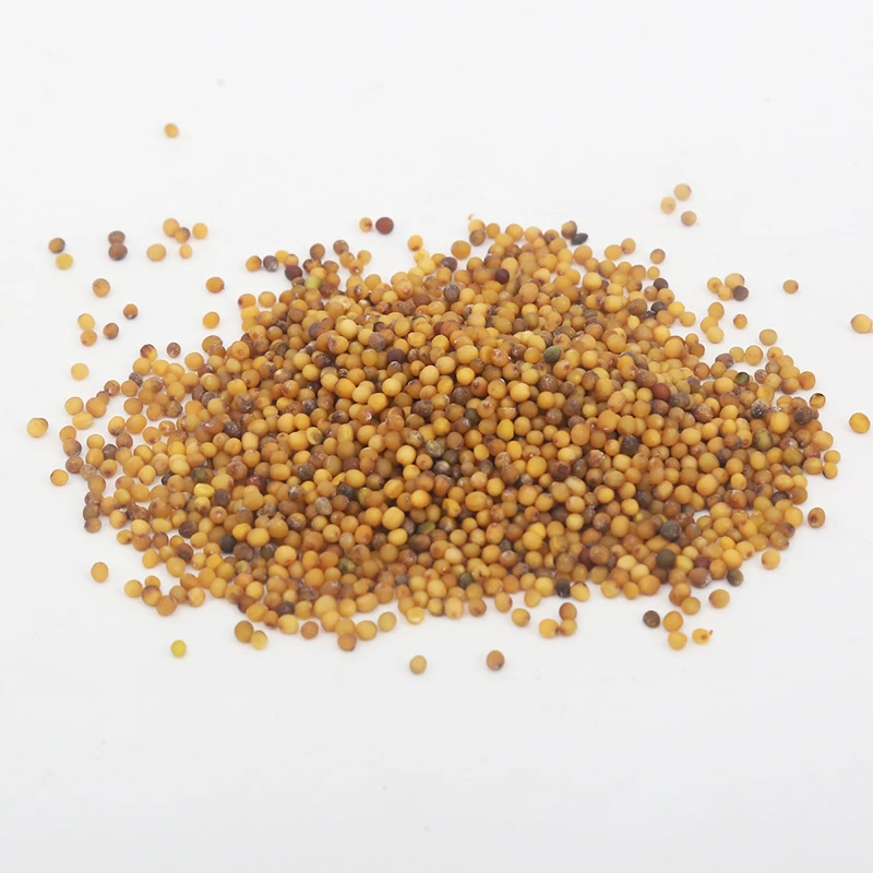 Yellow mustard seed