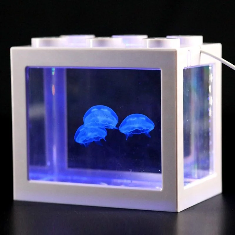 Contemporary Design High Quality Aquarium Jellyfish Tank Wholesale Middle-Sized Acrylic Tank Rechargeable Power Adaptor Plug-In