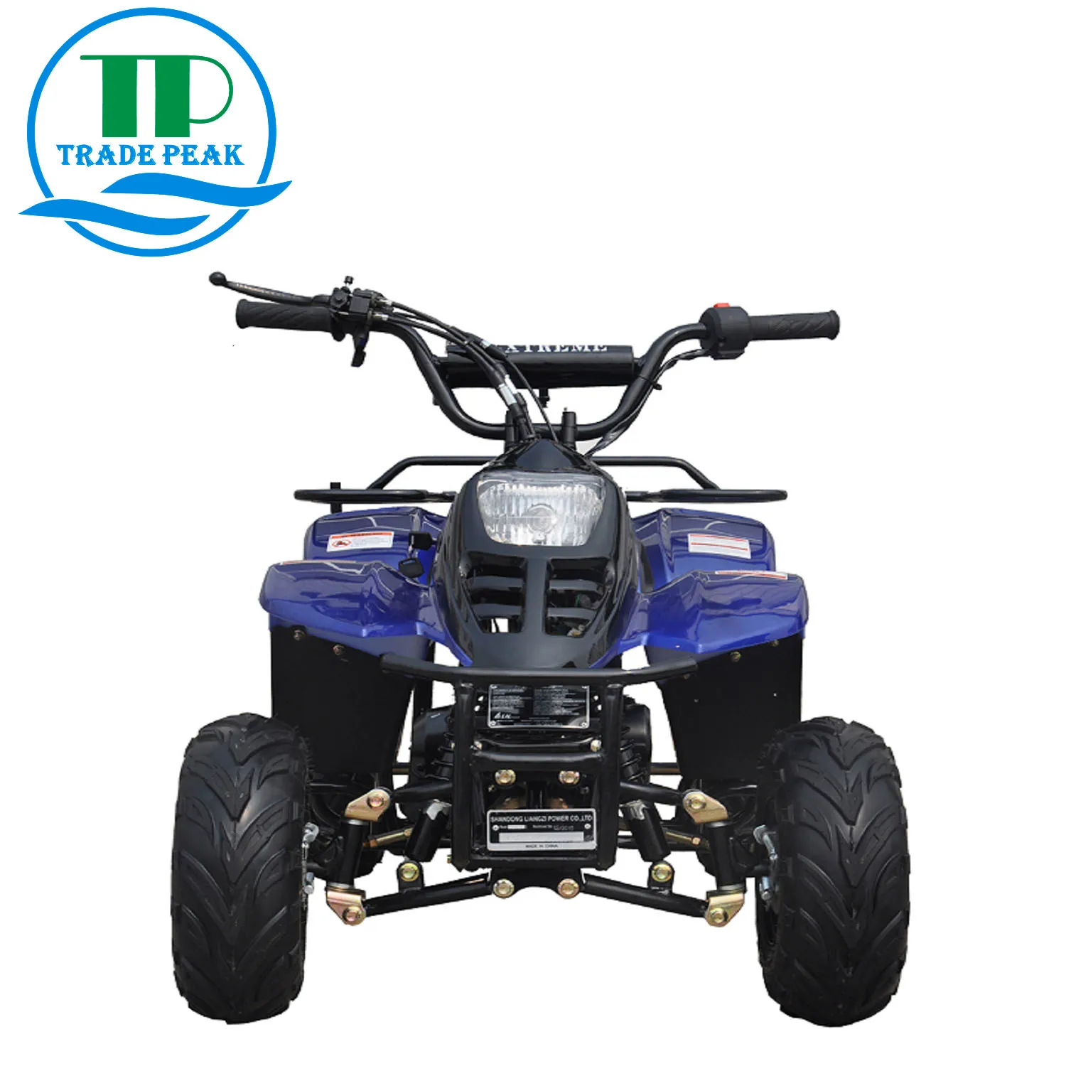 Trade Peak Hot Sale Vehicle with Ce Quad Bikes 110cc ATV