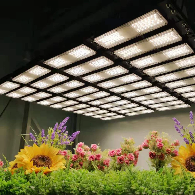 Online Retail High Quality High Power Waterproof Quantum 2000W Led Grow Light For Plant Growth