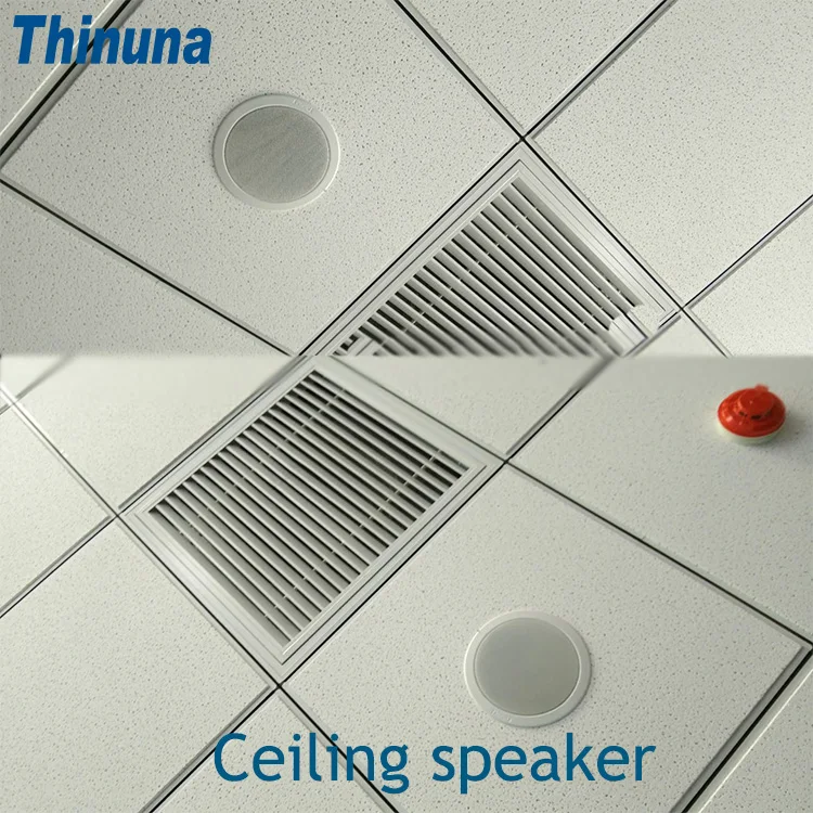 CS-205A Cheap PA 6.5 inch Full Range Invisible Speaker Inside Walls Low Profile Surface Install Unseen In Ceiling Loudspeaker