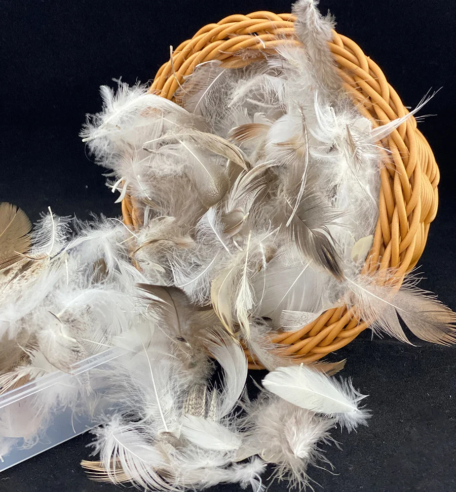 2024 Top Quality Clean Household Textile Fillers Machine Washed Grey Duck Feathers for Sale
