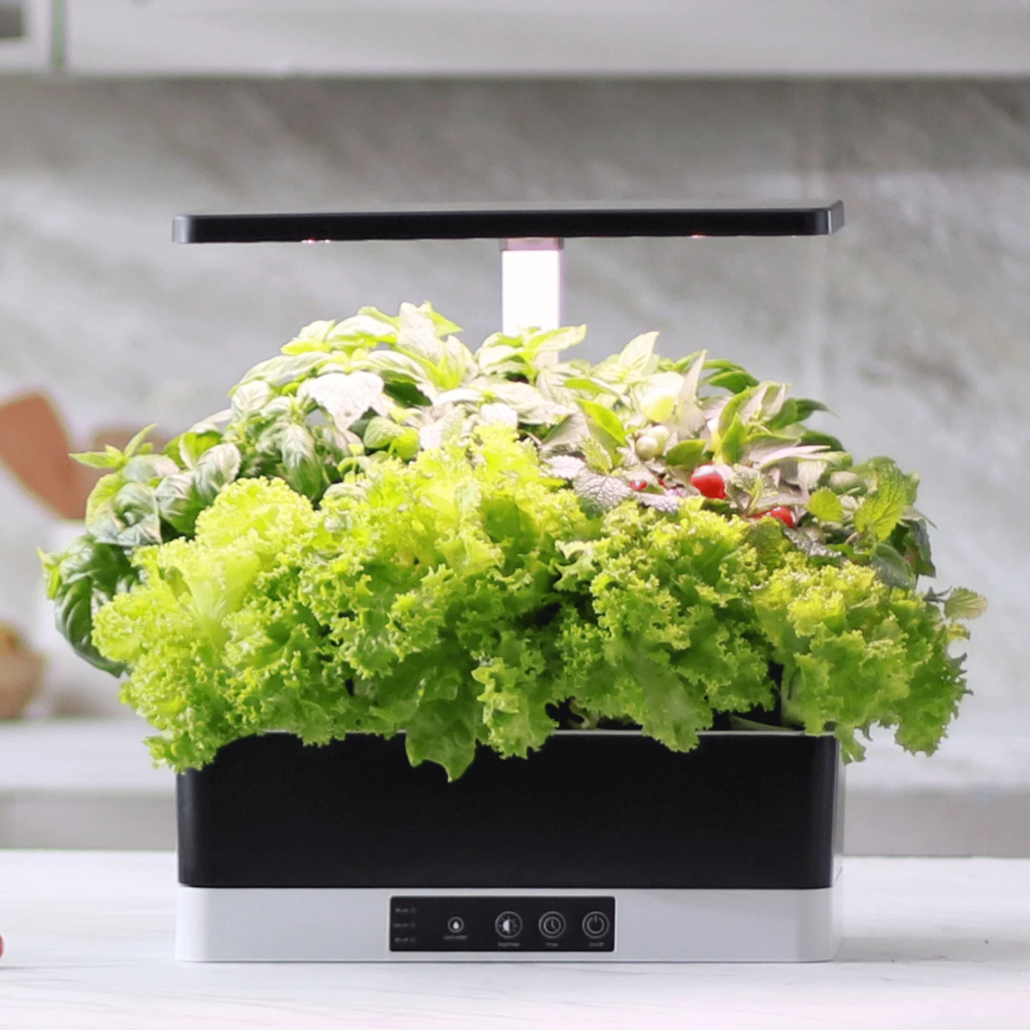 LED Indoor garden kit Harvest Hydroponic growing system 24W Automate Indoor Garden click and grow herb and vegetable garden