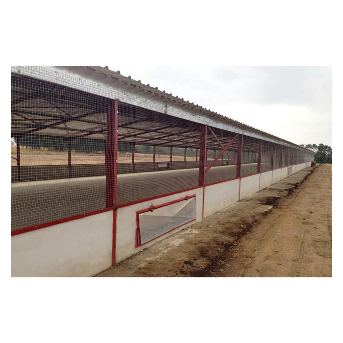Low cost prefab steel broiler chicken house poultry farm industrial layer chicken houses for 1000 chicken