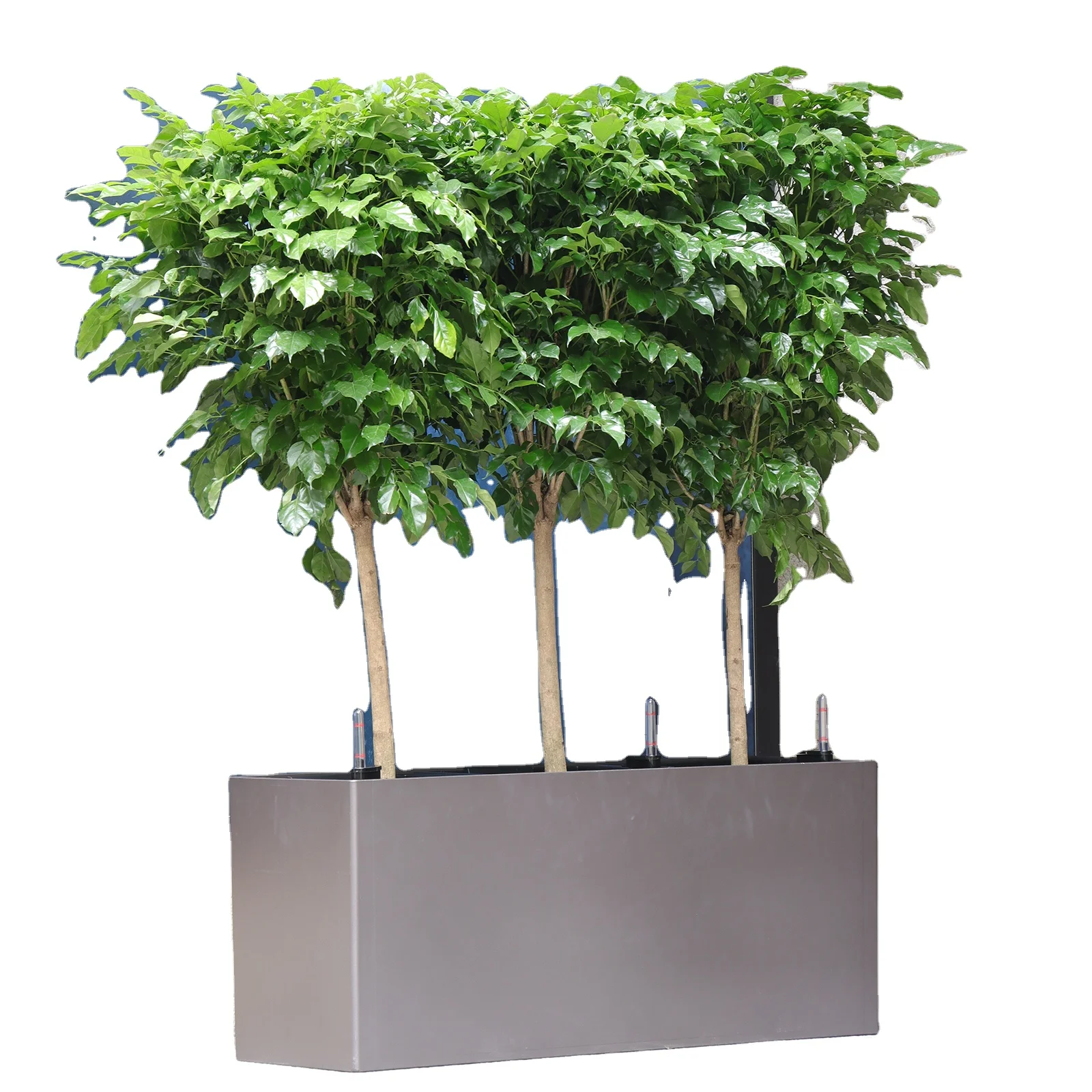 Hot Selling Large Tall Planter And Pots Rectangular Flower Plant Pot For Garden And Courtyard Modern(GL-3-4)