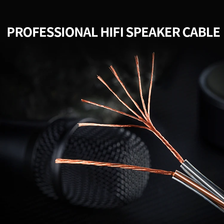 High Quality Transparent Aluminum Foil Shielded Low Noise Copper Chip 2x100 Shielded Speaker Cable 100M high flexibility