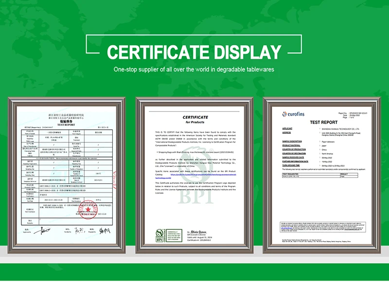 Company Information-1