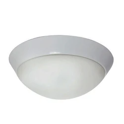 16 inch opal glass ceiling black led 15w E26 ceiling lamp  light home lighting