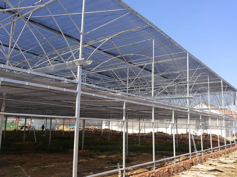 
Tomato and cucumber growing greenhouses-------Film greenhouse with hydroponic system 