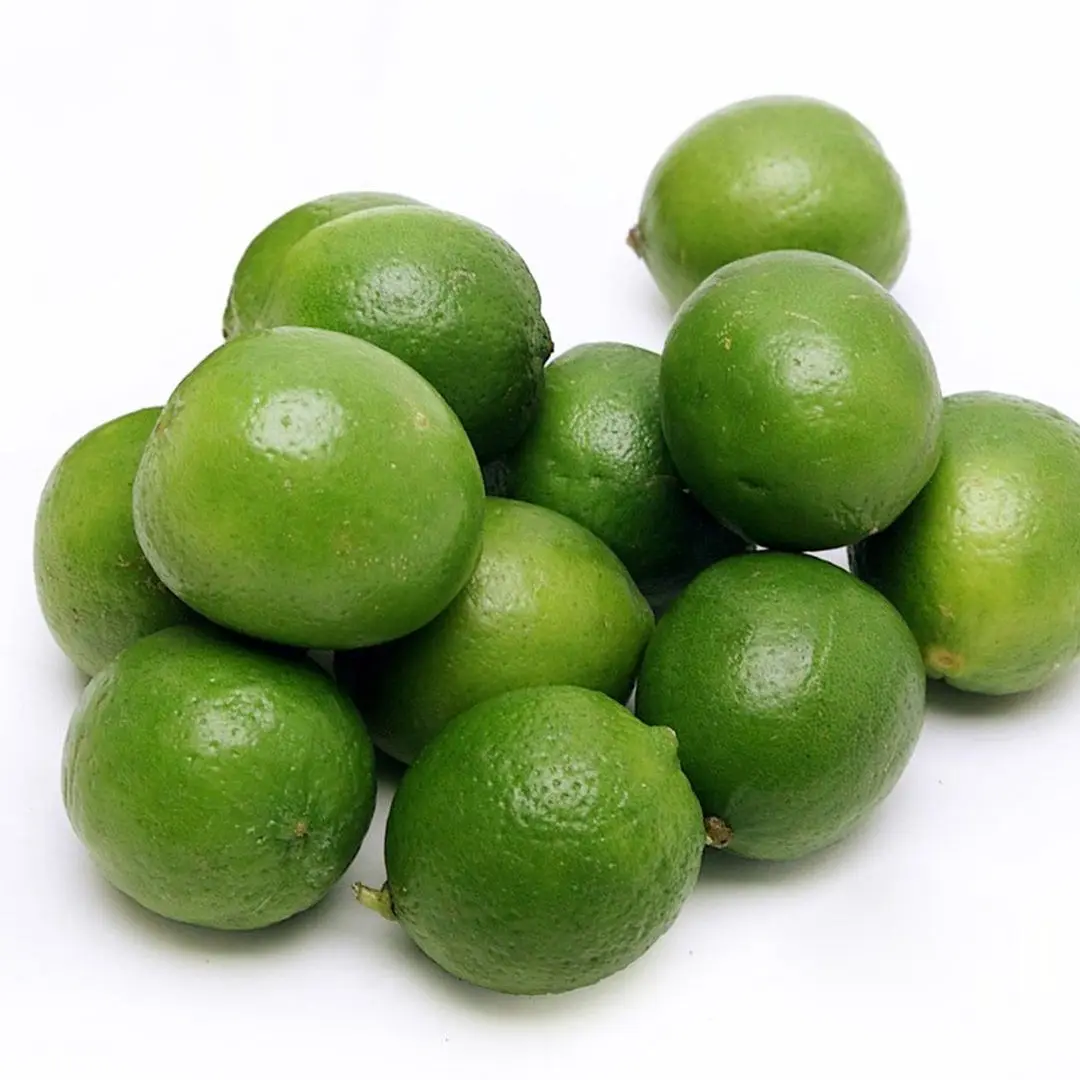 Fresh Citrus Fruit Premium 100% Maturity Green Sour Taste Fresh Seedless Lemon Lime For Beverages Juice Drinks