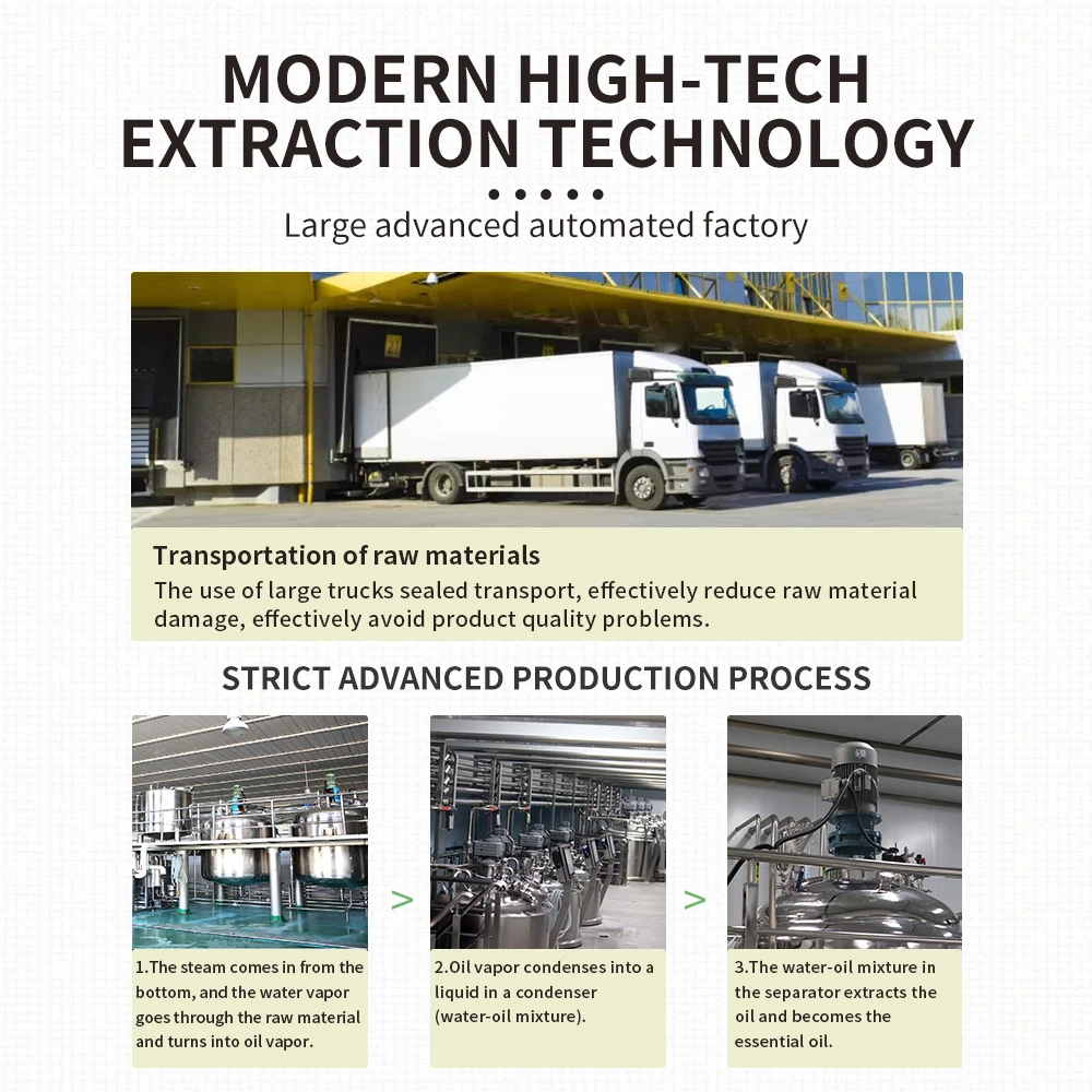 Hot Selling Organic Essential Oil Set -16 Packs Gift Private Label For Diffusers