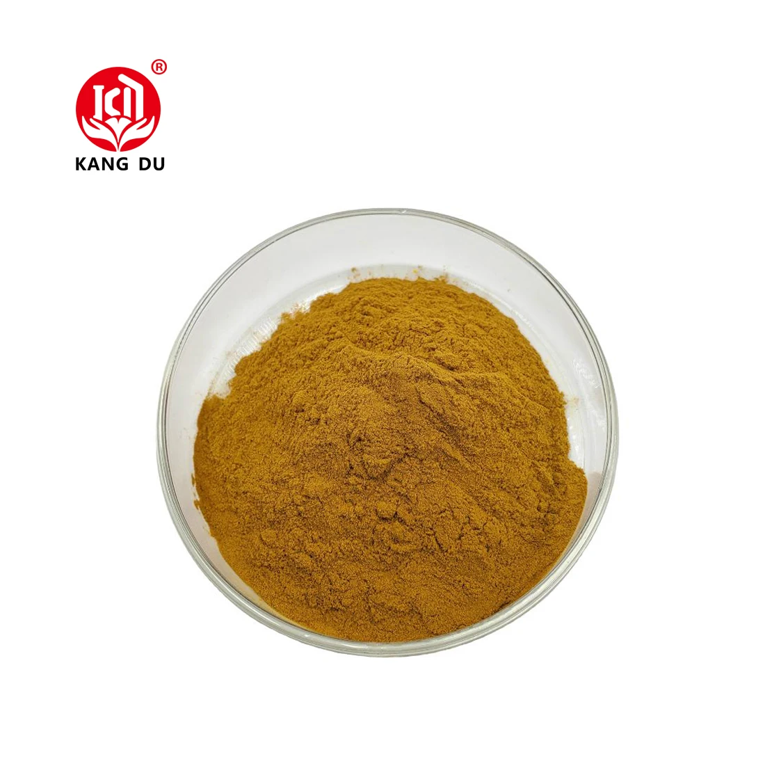 Plant Extract Terminalia Chebula Extract Powder 10:1 powder