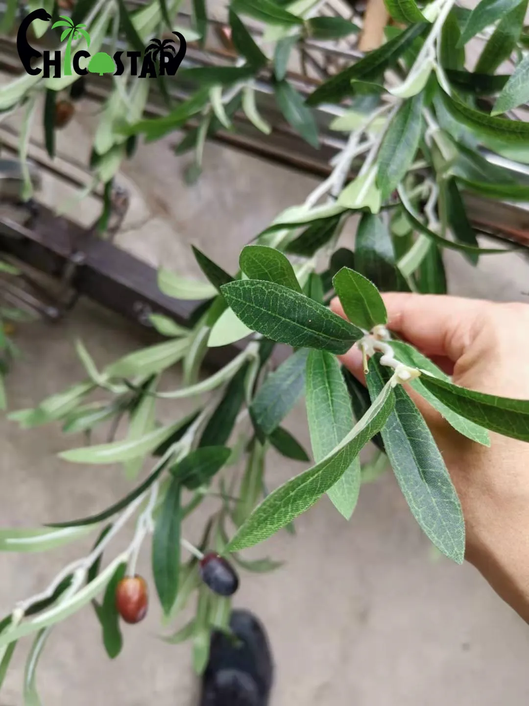 Ствол из стекловолокна под заказ, искусственное растение, ландшафтное украшение, искусственное оливковое дерево