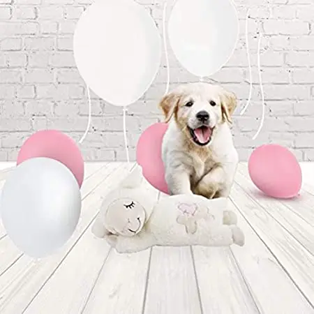 
 Мягкая игрушка для домашних животных с изображением овец и сердцебиения, снимает стресс, Экологически чистая игрушка для домашних животных, забавный кролик, игрушка для собак натурального качества Y0012  