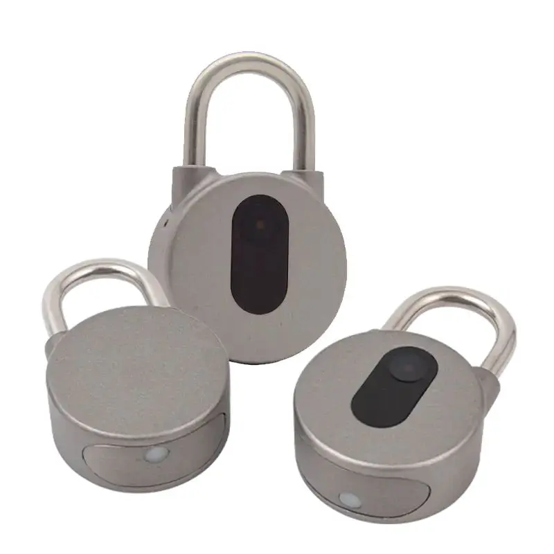 Bluetooth Lock Keyless Waterproof Anti-theft Zinc Alloy Wireless Door Smart Lock