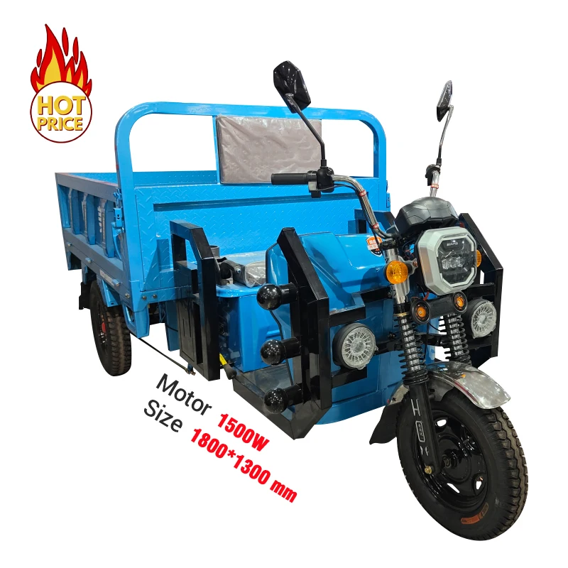 New Style Small Electric Vehicle Three-way Cart Towing Cargo Agricultural Cargo-carrying Tricycle 60V Eec Mobile Threecycle Open